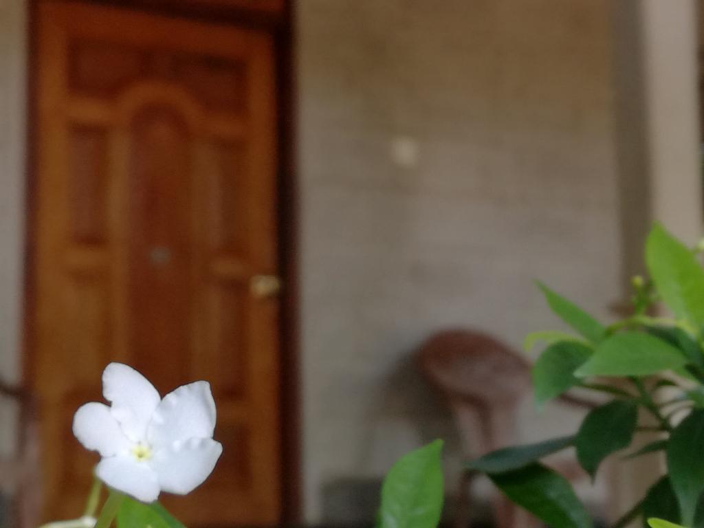 Gabaa Resort & Spa - הבאראנה מראה חיצוני תמונה